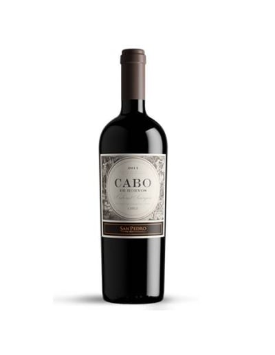 Cabernet Sauvignon, Icono, Cabo de Hornos, Viña San Pedro
