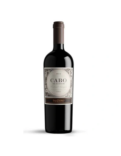Cabernet Sauvignon, Icono, Cabo de Hornos, Viña San Pedro