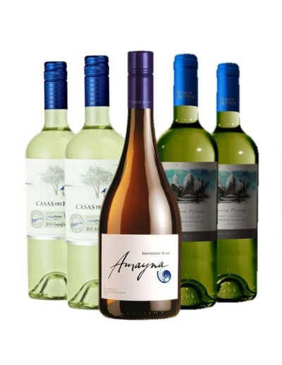 Pack 6 Sauvignon Blanc, 3 Valles, Reserva - Premium