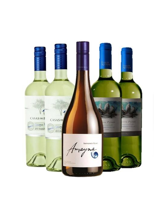 Pack 6 Sauvignon Blanc, 3 Valles, Reserva - Premium