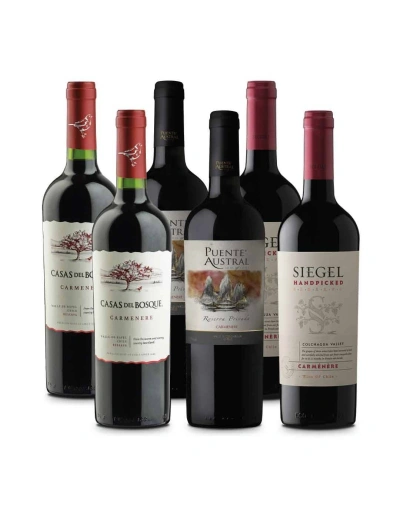 Pack 6 mix Reserva Carmenere Casas del Bosque, Puente Austral y Siegel
