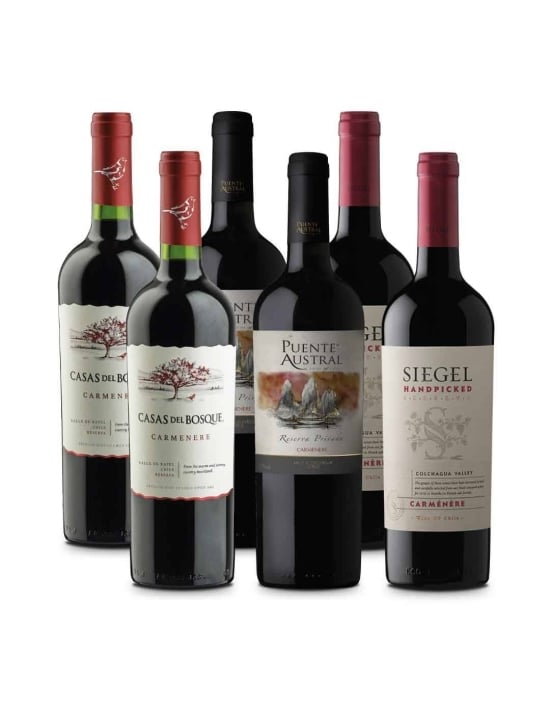 Pack 6 mix Reserva Carmenere Casas del Bosque, Puente Austral y Siegel