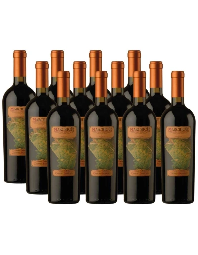 Pack 12 Cabernet Sauvignon, Icono, Marchigue Private Collection
