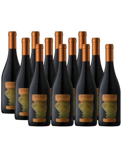 Pack 12 Syrah, Icono, Marchigue Private Collection