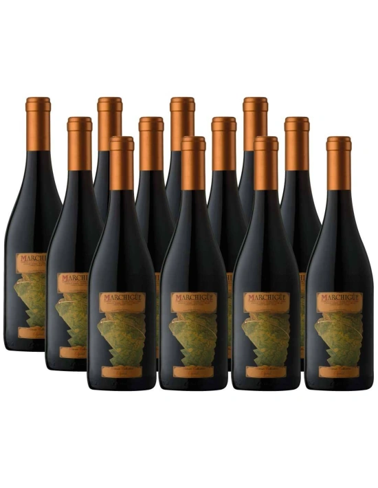 Pack 12 Syrah, Icono, Marchigue Private Collection