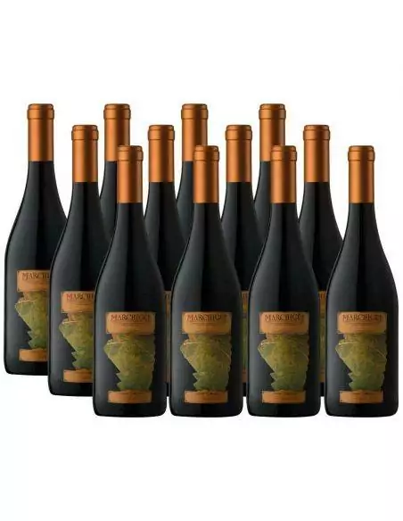 Pack 12 Syrah, Icono, Marchigue Private Collection