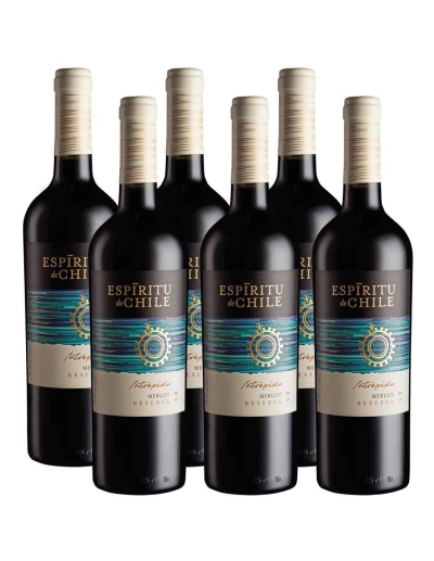 Pack 6 Merlot, Reserva, Intrépido, Espíritu de Chile