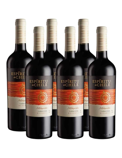 Pack 6 Carmenere, Reserva, Intrépido, Espíritu de Chile
