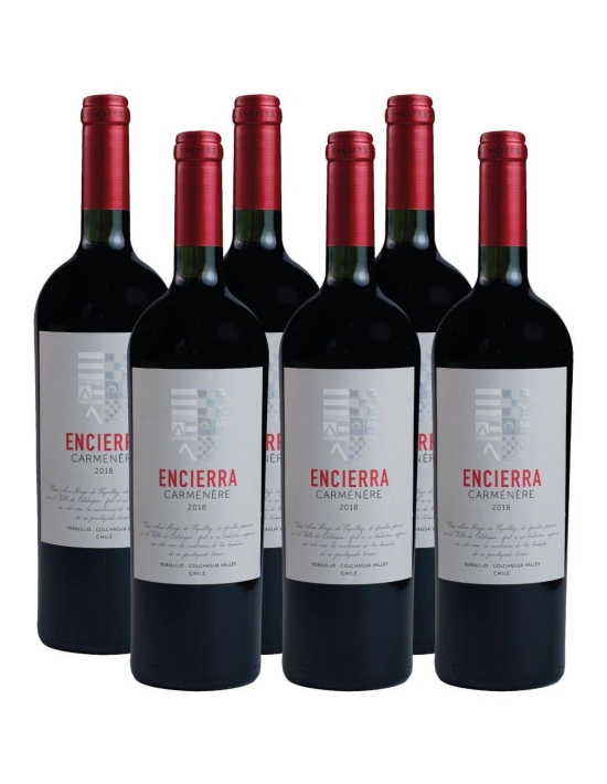 Pack 6 Carmenere, Super Premium, Encierra
