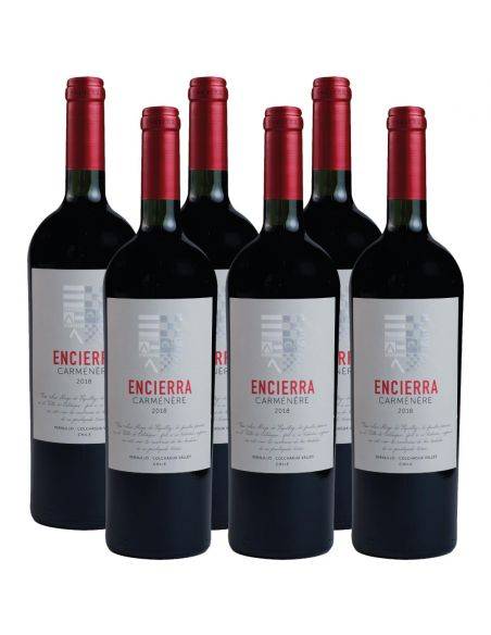 Pack 6 Carmenere, Super Premium, Encierra