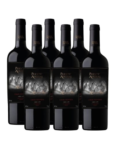 Pack 6 Merlot, Gran Reserva,Viña Puente Austral, Valle de Colchagua