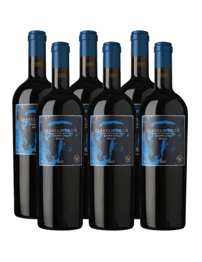 Pack 6 Ensamblaje, Caballo Loco, Grand Cru, Apalta, Viña Valdivieso