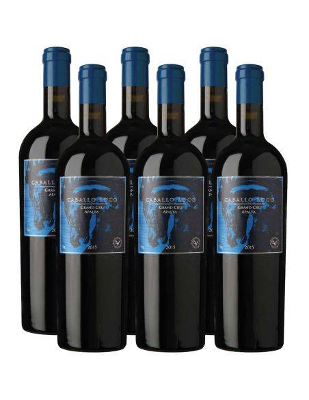 Pack 6 Ensamblaje, Caballo Loco, Grand Cru, Apalta, Viña Valdivieso