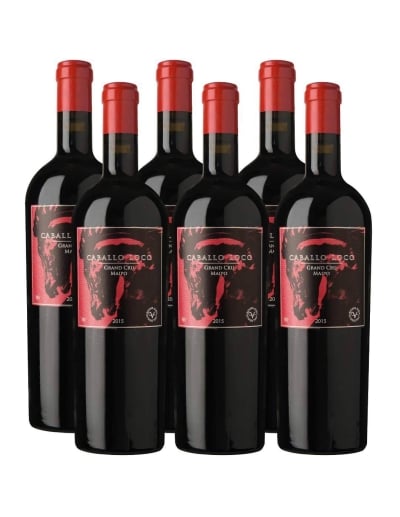 Pack 6 Ensamblaje, Caballo Loco, Grand Cru, Maipo, Viña Valdivieso