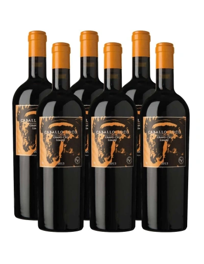 Pack 6 Ensamblaje, Caballo Loco, Grand Cru, Limarí, Viña Valdivieso