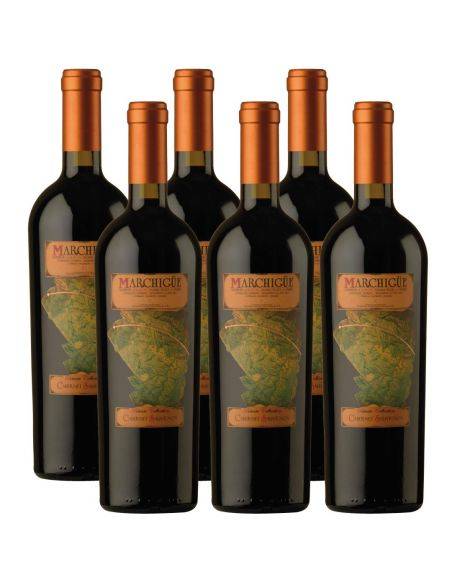 Pack 6 Cabernet Sauvignon, Icono, Marchigue Private Collection