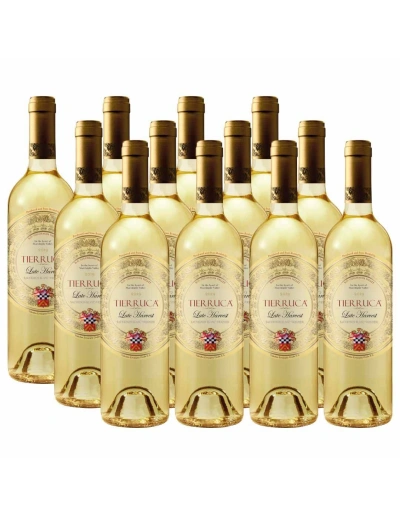 Pack 12 Late Harvest, Semillón-Viognier, Tierruca, Viña Errázuriz Ovalle