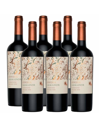 Pack 6 Carmenere, Gran Reserva, Armador