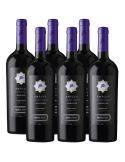 Pack 6 Marselan Amplus, Premium, Viña Santa Ema.