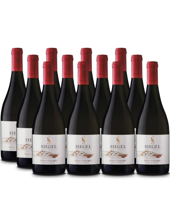 Pack 12 Pinot Noir Gran Reserva, Siegel
