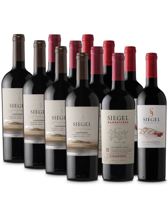 Pack 12 Carmenere Mix Viña Siegel