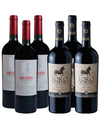 Pack 6 Botellas Toro de Piedra Cabernet Sauvignon y Encierra Carmenere