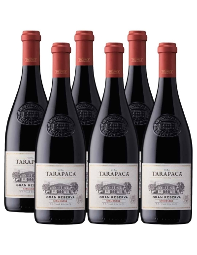 Pack 6 Carmenere, Gran Reserva, Tarapacá, Viña San Pedro