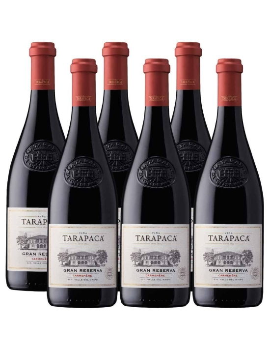 Pack 6 Carmenere, Gran Reserva, Tarapacá, Viña San Pedro