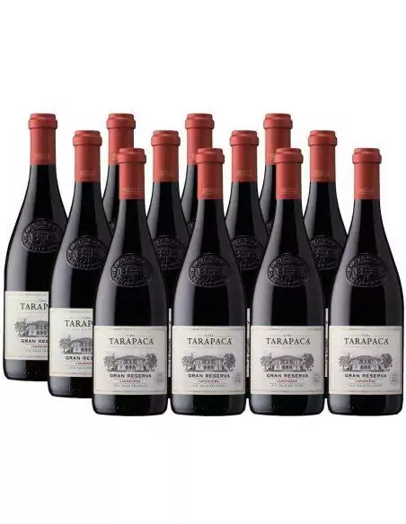 Pack 12 Carmenere, Gran Reserva, Tarapacá, Viña San Pedro