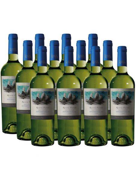 Pack 12 bot Sauvignon Blanc, Reserva Privada, Viña Puente Austral, Valle de Colchagua