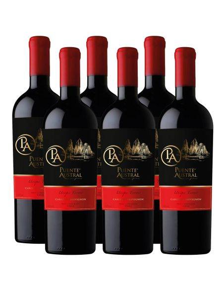 Pack 6 Cabernet Sauvignon, Unique Terroir, Puente Austral