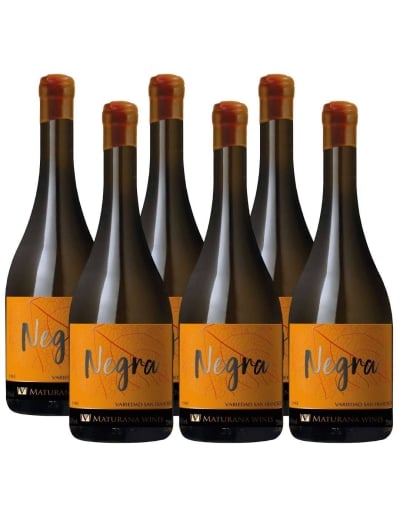 Pack 6 San Francisco, Negra, Maturana Wines, Puente Austral, Valle de Loncomilla