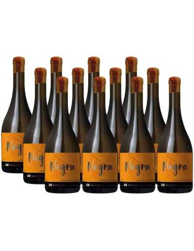 Pack 12 San Francisco, Negra, Maturana Wines, Puente Austral, Valle de Loncomilla