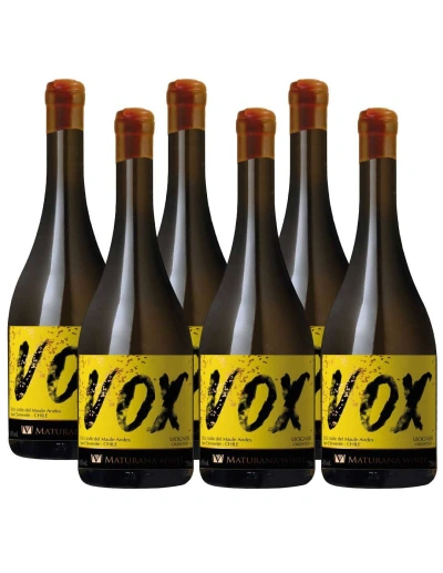 Pack 6 vinos Viognier, Premium, Maturana Wines