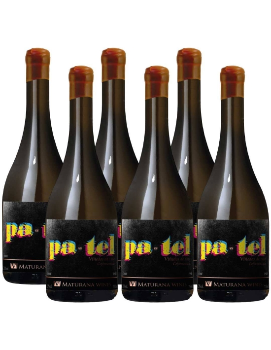 Pack 6 País/Moscatel, Patel, Premium, Maturana Wines