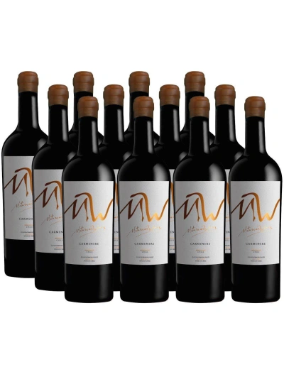 Pack 12 Carmenere, MW, Icono