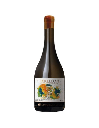 Semillón, Premium, Maturana Wines, Valle de Colchagua