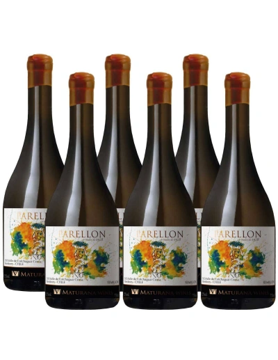 Pack 6 Semillón, Premium, Maturana Wines, Valle de Colchagua