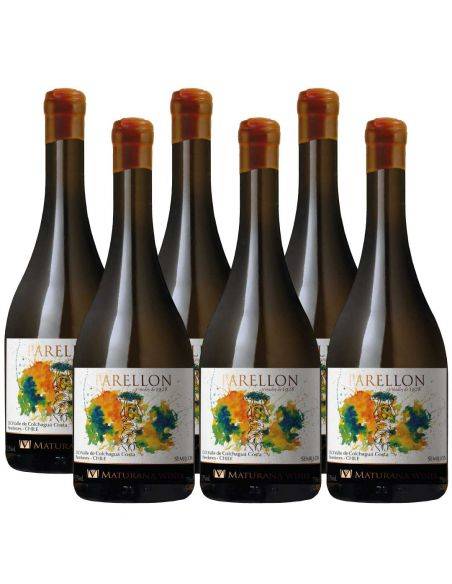 Pack 6 Semillón, Premium, Maturana Wines, Valle de Colchagua