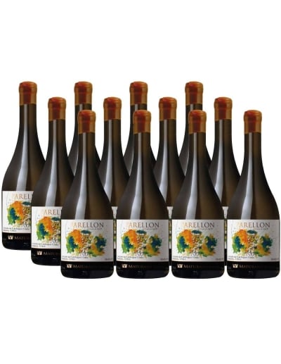 Pack 12 Semillón, Premium, Maturana Wines, Valle de Colchagua