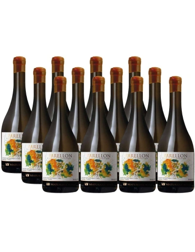 Pack 12 Semillón, Premium, Maturana Wines, Valle de Colchagua