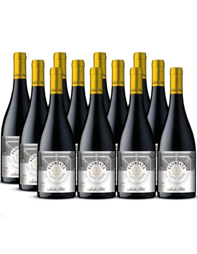 Pack 12 Cabernet Sauvignon, Floresta, Premium, Santa Rita