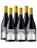 Pack 6 Cabernet Franc, Floresta, Premium, Santa Rita