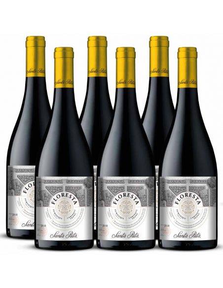 Pack 6 Cabernet Franc, Floresta, Premium, Santa Rita