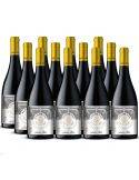 Pack 12 Cabernet Franc, Floresta, Premium, Santa Rita