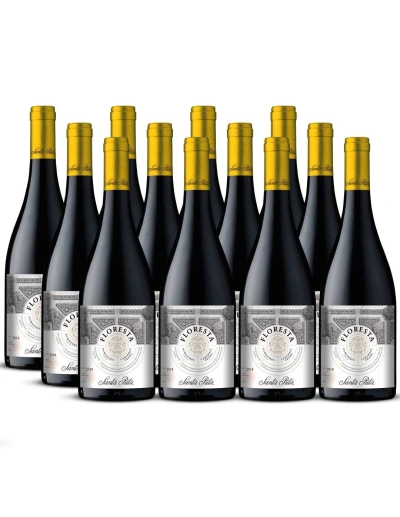Pack 12 Cabernet Franc, Floresta, Premium, Santa Rita