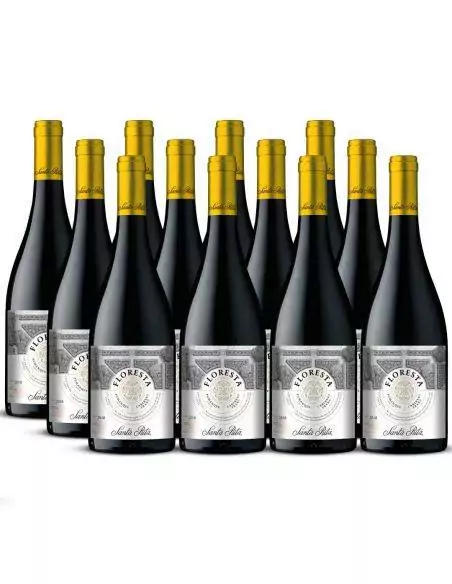 Pack 12 Cabernet Franc, Floresta, Premium, Santa Rita