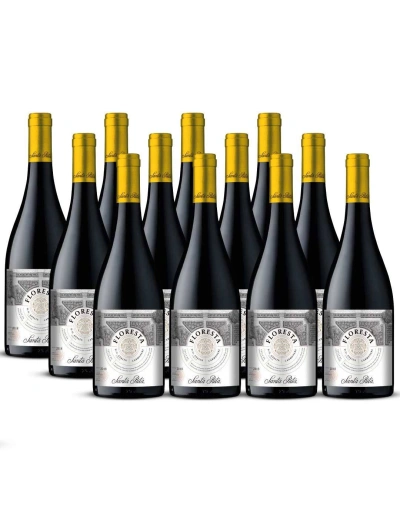 Pack 12 Carmenere, Floresta, Premium, Santa Rita