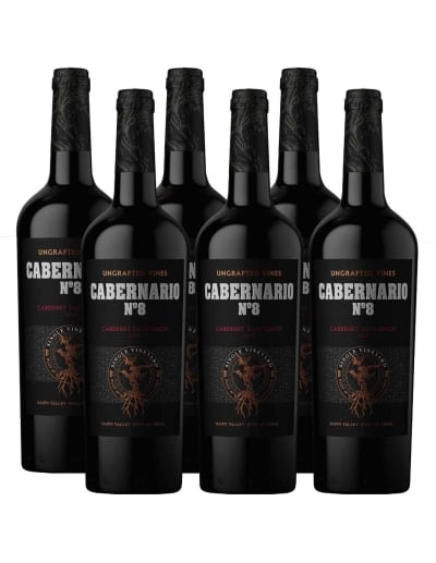 Pack 6 Cabernet Sauvignon, Gran Reserva, Cabernario 8