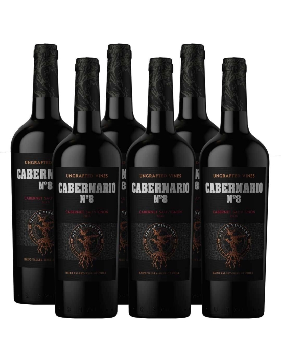 Pack 6 Cabernet Sauvignon, Gran Reserva, Cabernario 8